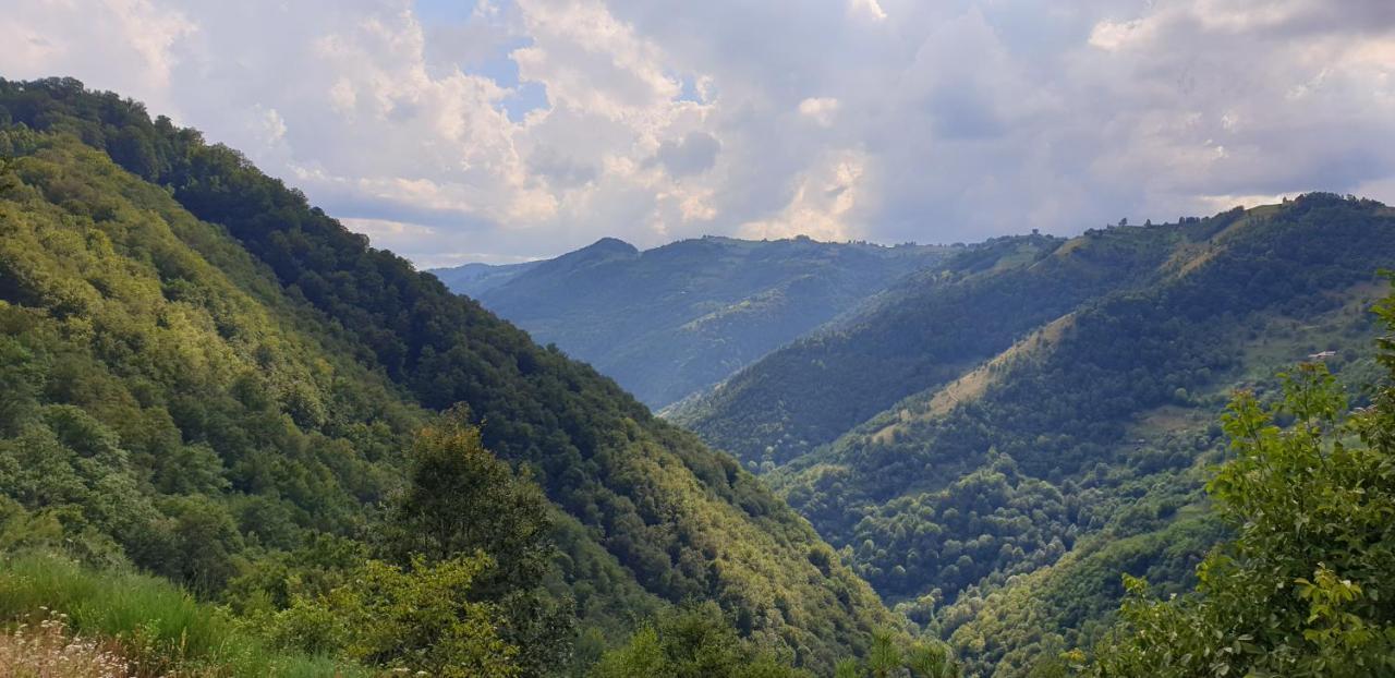 Pensiunea Petru Şugag Buitenkant foto