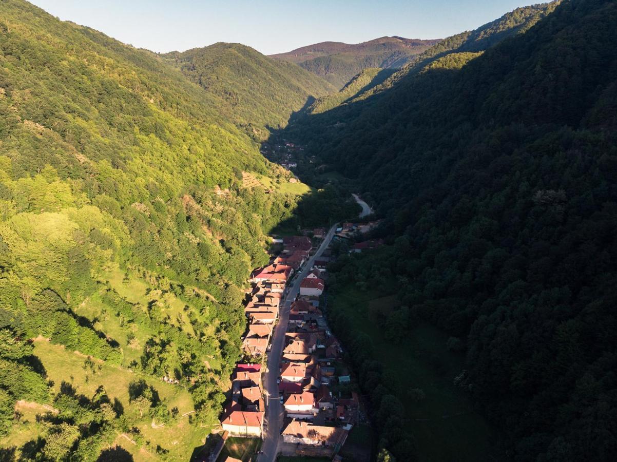 Pensiunea Petru Şugag Buitenkant foto