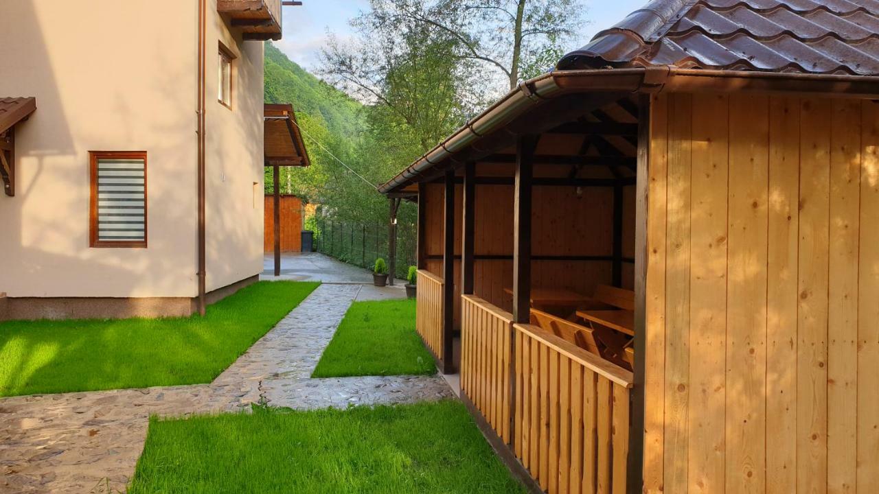 Pensiunea Petru Şugag Buitenkant foto