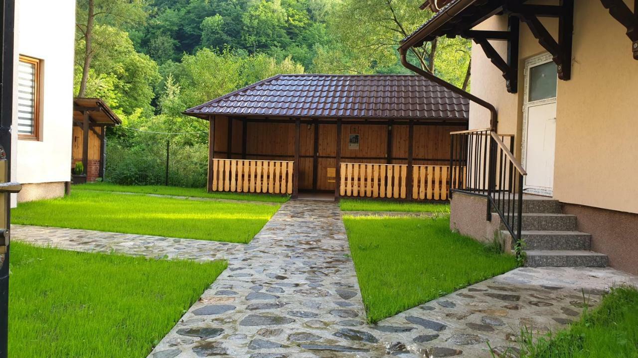 Pensiunea Petru Şugag Buitenkant foto